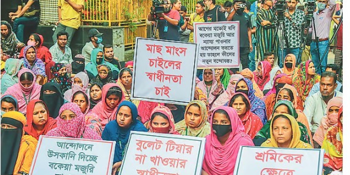 বছর পেরিয়ে জুলাই মানুষ দেখি, আশা করি