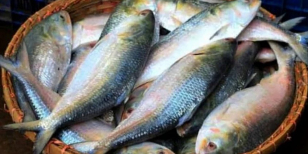 সৌদি ও আমিরাতে রপ্তানি হবে ১১ হাজার টন ইলিশ