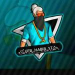 Habib Hassen Profile Picture