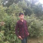 Nurul Alamin Profile Picture