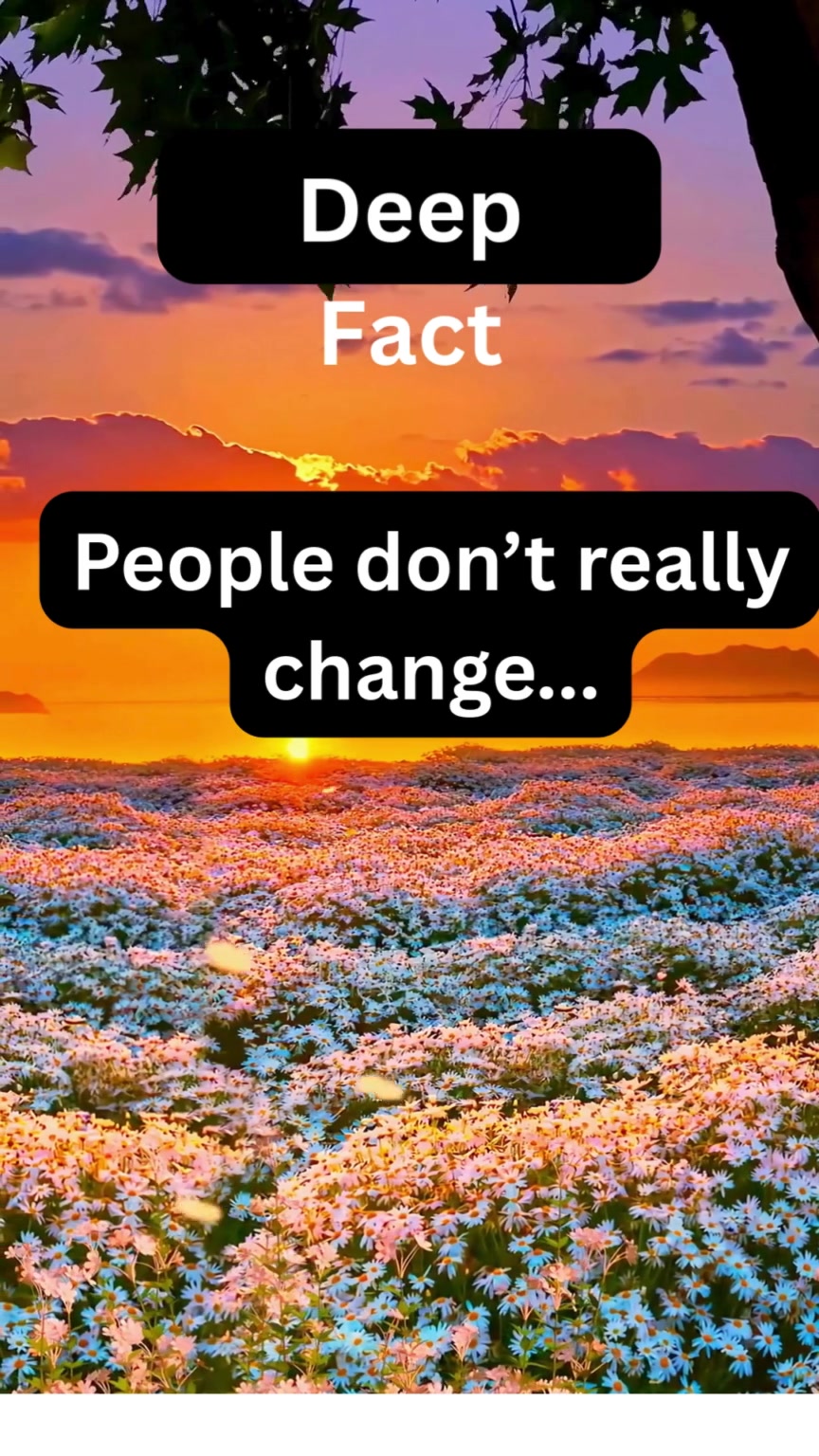 Deep Fact 4 - Febspot