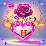 Md Shadikul Profile Picture