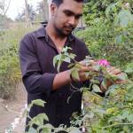 MD Munna Mia Profile Picture