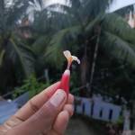 SOURAV Bormon Profile Picture