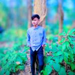 Md Masum Raza Profile Picture
