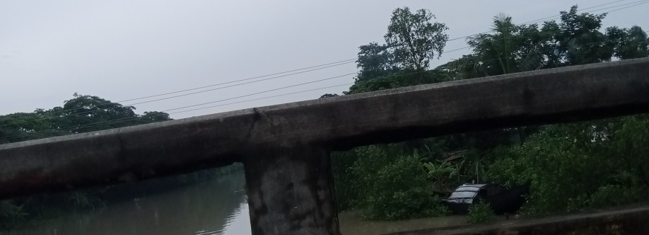 নিউজ বাংলা Cover Image