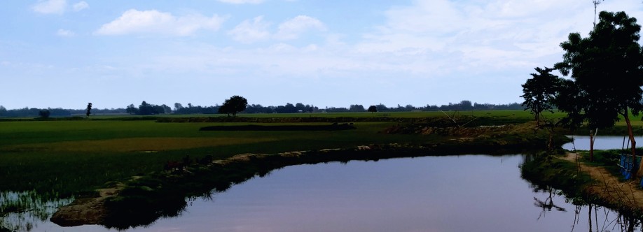 Masudur Rahman Cover Image