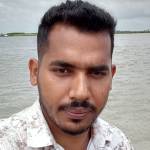 Sheikh Julfikar Profile Picture
