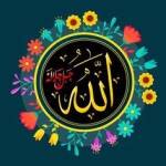 Estiak Ahmed ahmed Profile Picture