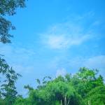 Shafiul Alam Profile Picture