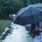 Summer Rain Profile Picture