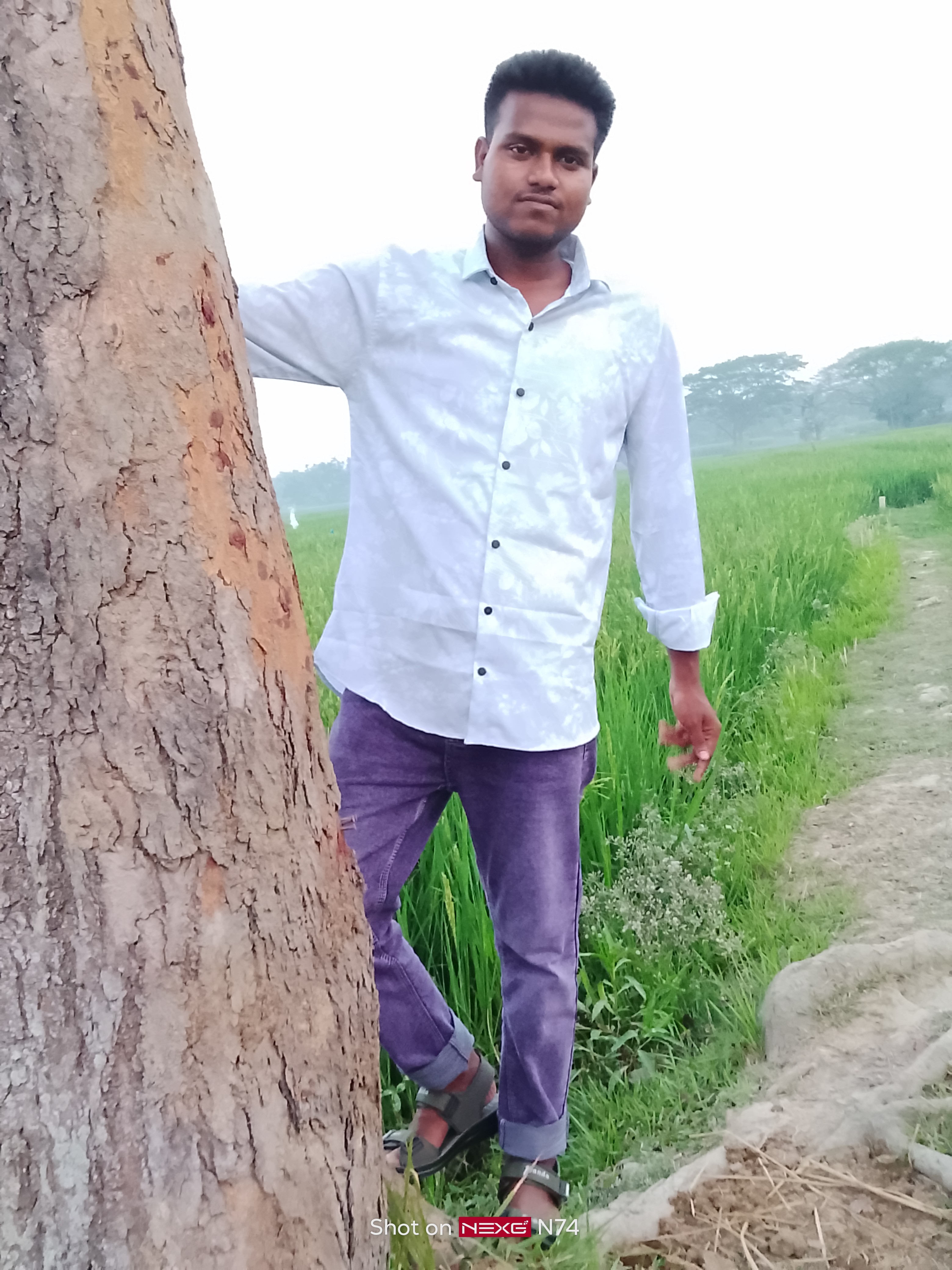 Comment image