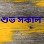 Md Arif Profile Picture