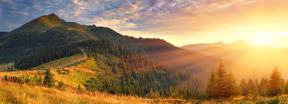 Scenery Cover Image