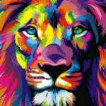 Rasel khan Profile Picture