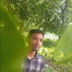 Swodesh Chandra roy Profile Picture