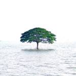 md sany Profile Picture