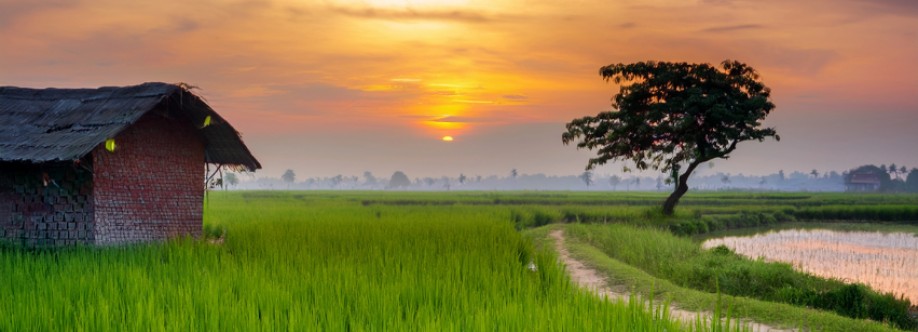 আমাদের দেশের গ্রাম Cover Image
