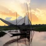Masudur Rahman Profile Picture
