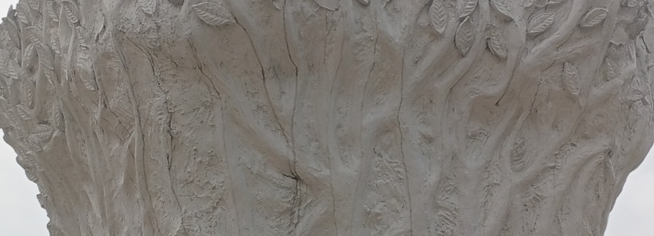 M Rahman Nur Cover Image