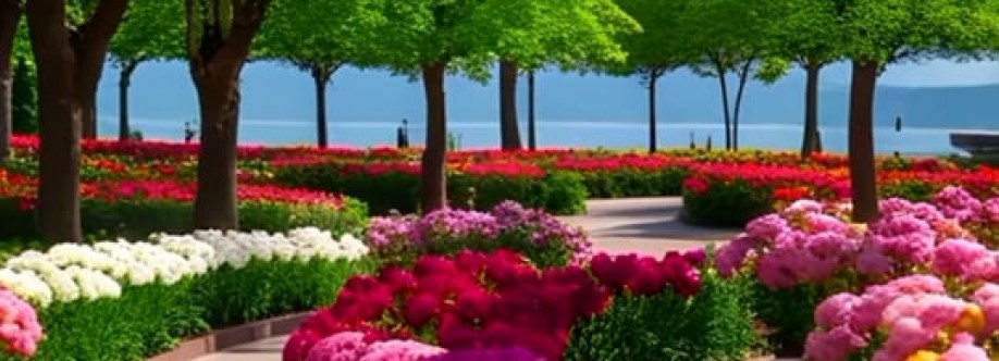 Foysal Ahmed Cover Image