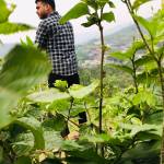 Lokman Ahmed Profile Picture