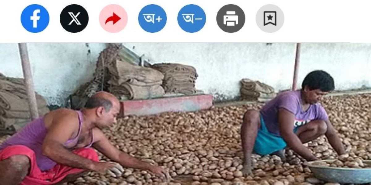 Article Picture
