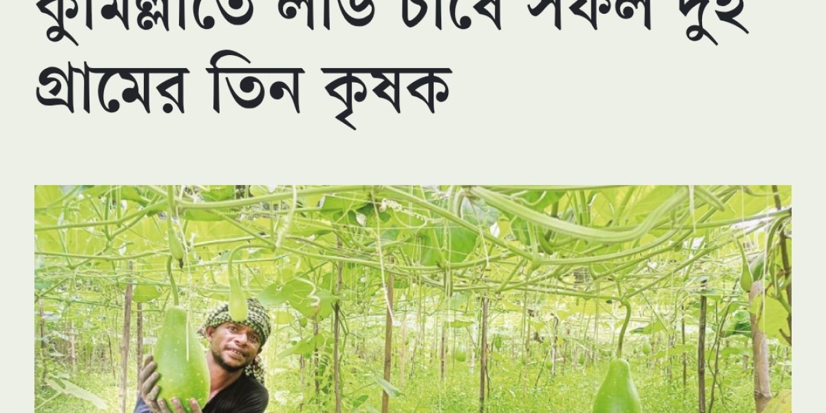 Article Picture