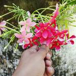 Kazol Islam Profile Picture