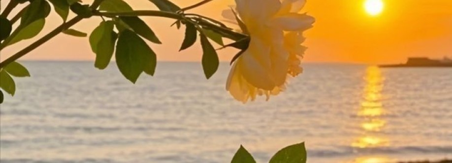 ফিরে আসো দ্বীনের পথে Cover Image