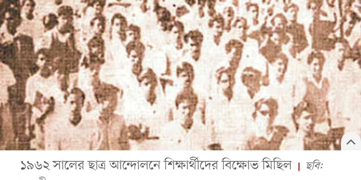 Article Picture