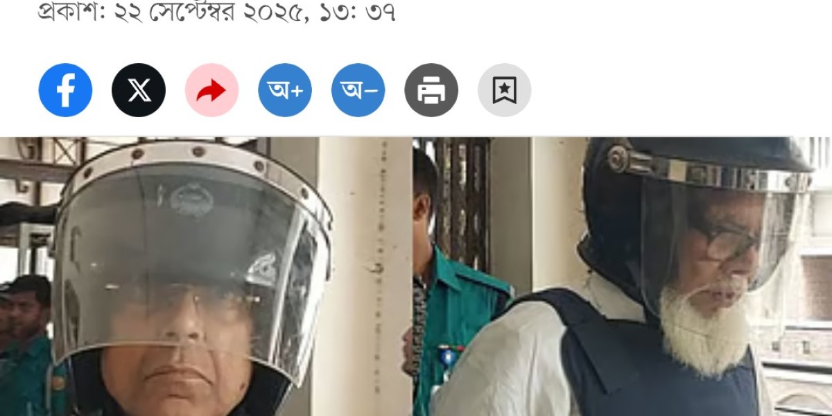 Article Picture