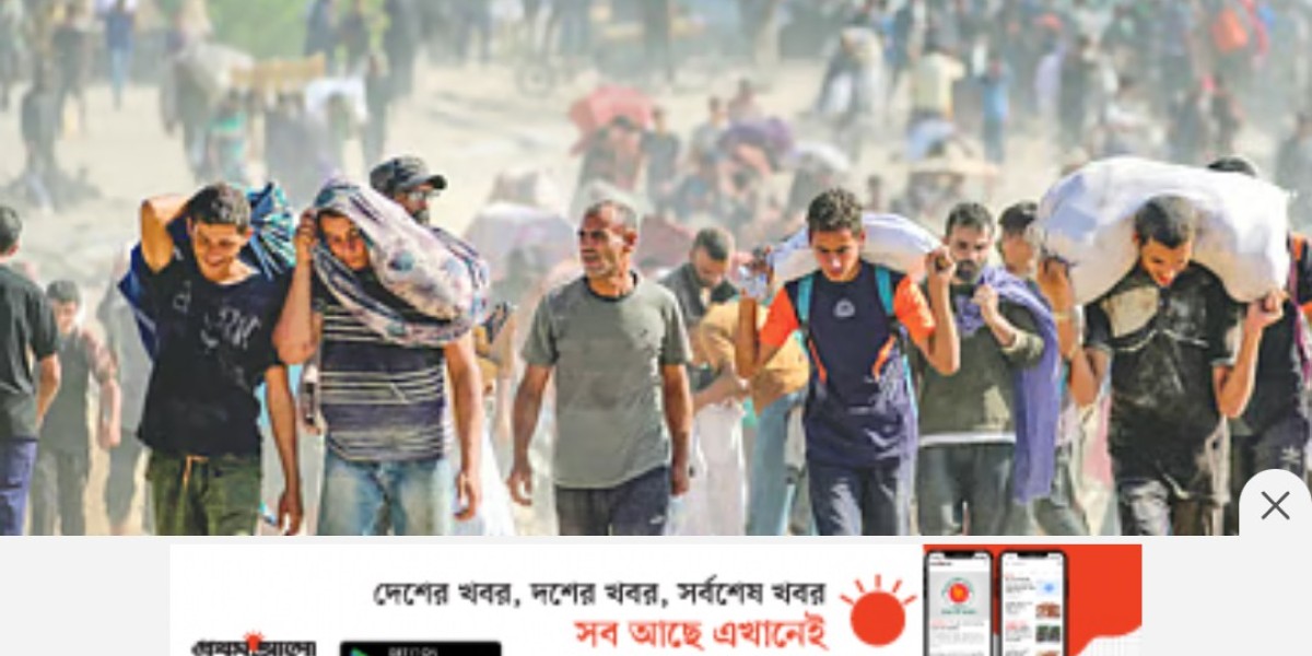Article Picture